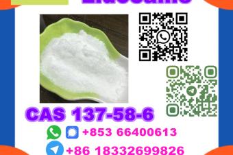  Manufacturer Supply Raw Material CAS 137586 Lidocaine